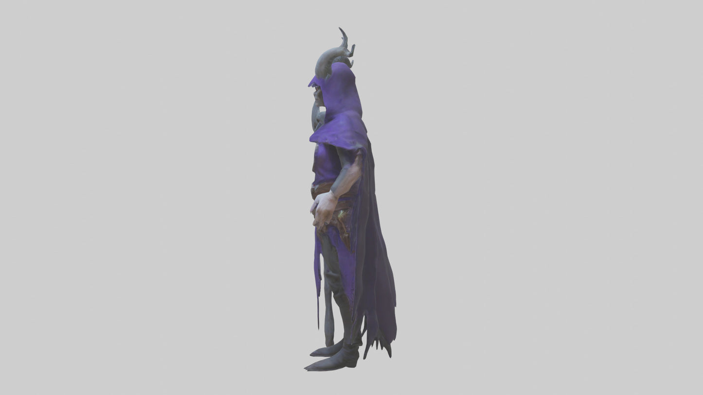 Evil mage model 3D model