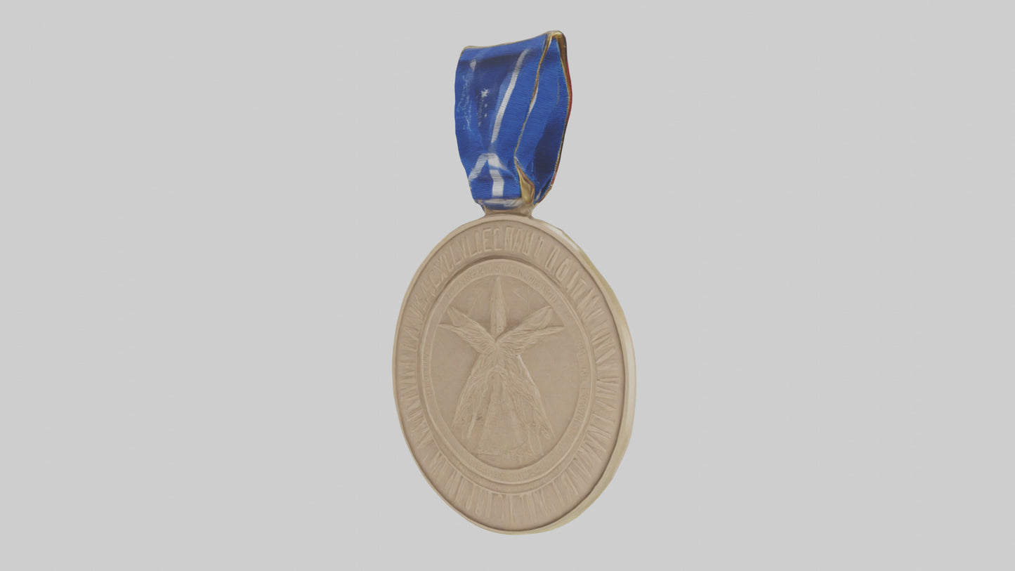 3D model Excellence in Innovation Medal model VR / AR / low-poly