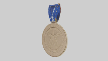 3D model Excellence in Innovation Medal model VR / AR / low-poly