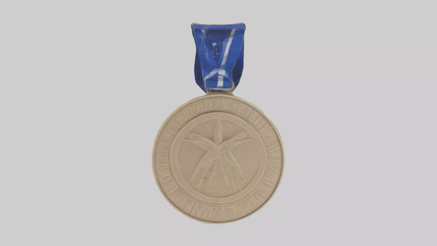 3D model Excellence in Innovation Medal model VR / AR / low-poly