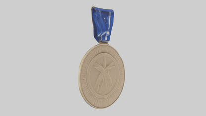 3D model Excellence in Innovation Medal model VR / AR / low-poly