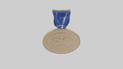 3D model Excellence in Innovation Medal model VR / AR / low-poly