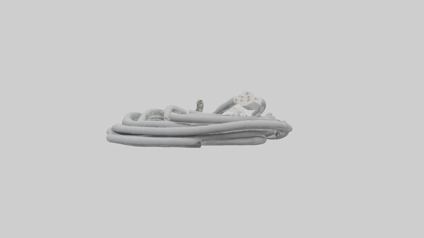 Extension cord model 3D model