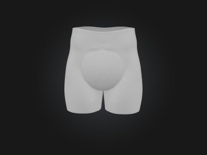 External Oblique Muscle Model 3D model