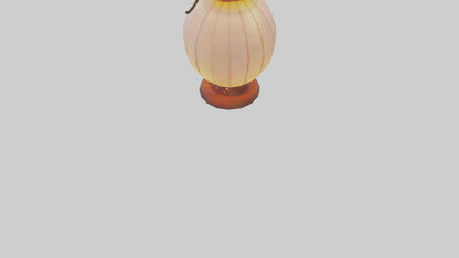 Fairy Lantern model 3D model