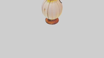 Fairy Lantern model 3D model