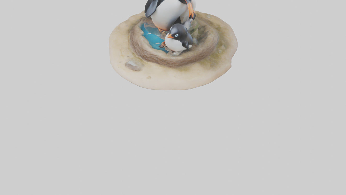Fairy Penguin nesting model VR / AR / low-poly