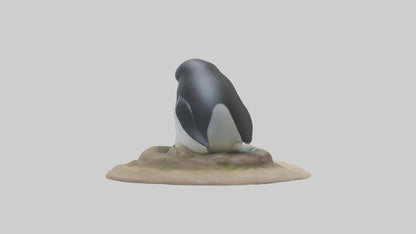 Fairy Penguin nesting model VR / AR / low-poly