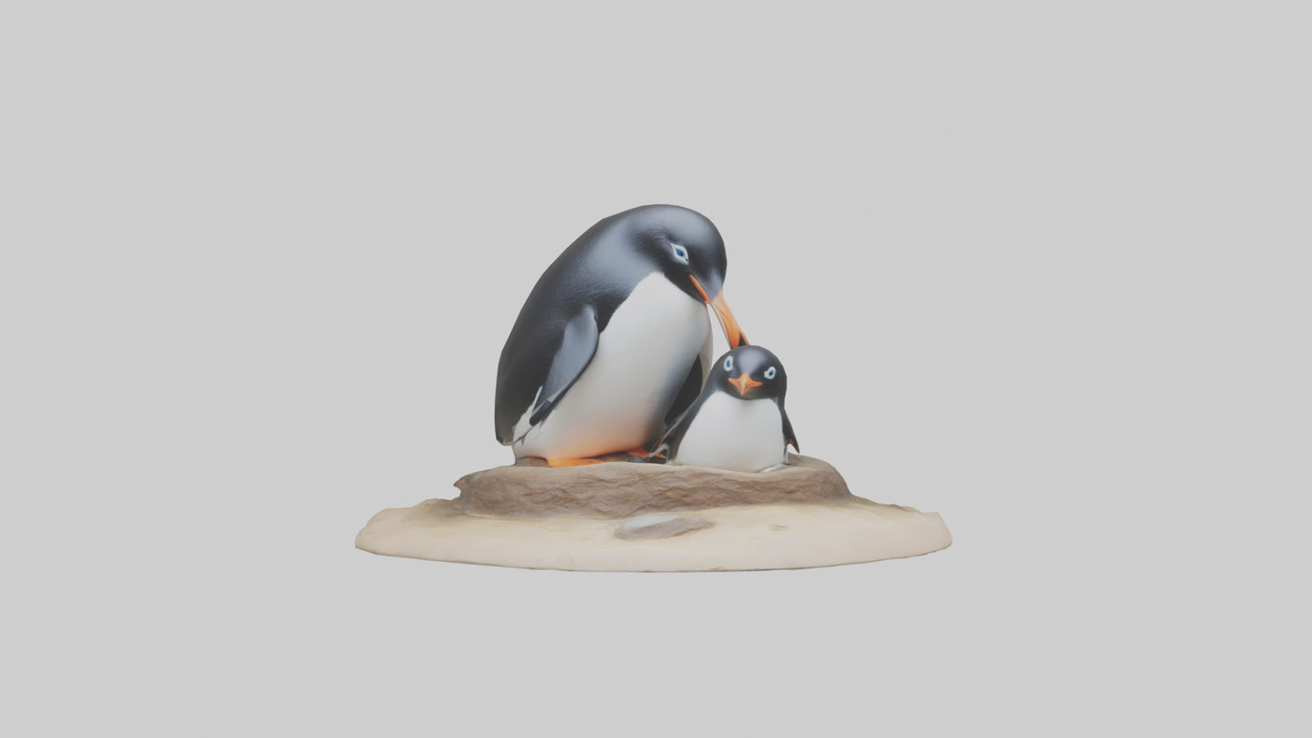Fairy Penguin nesting model VR / AR / low-poly
