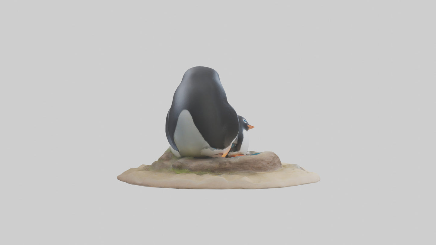 Fairy Penguin nesting model VR / AR / low-poly