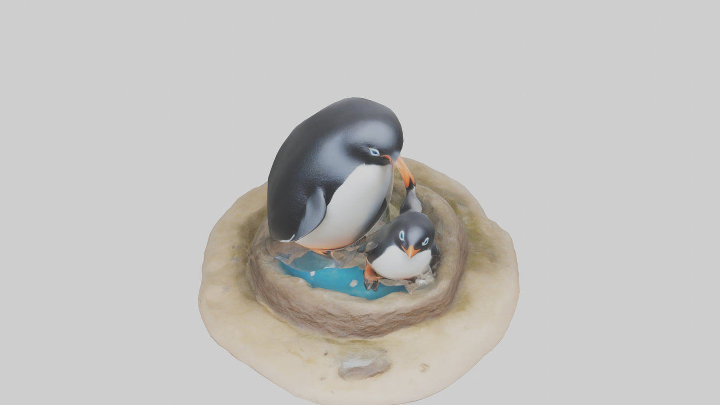 Fairy Penguin nesting model VR / AR / low-poly