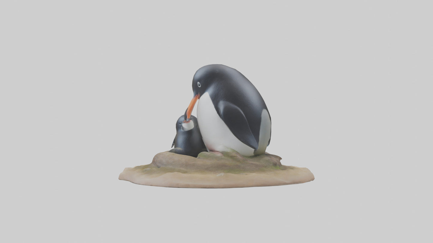 Fairy Penguin nesting model VR / AR / low-poly