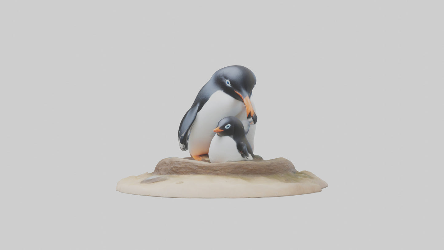 Fairy Penguin nesting model VR / AR / low-poly
