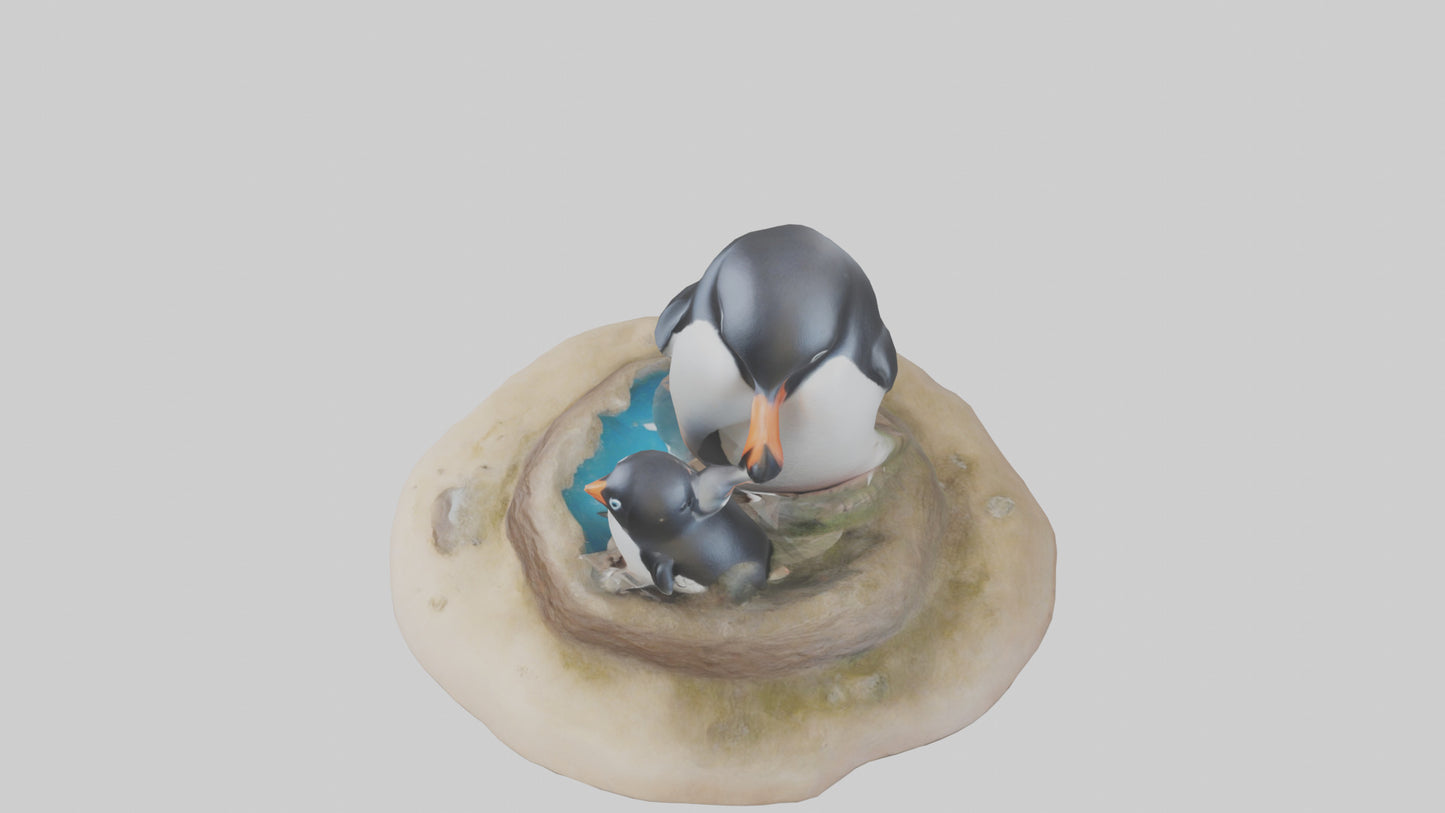 Fairy Penguin nesting model VR / AR / low-poly
