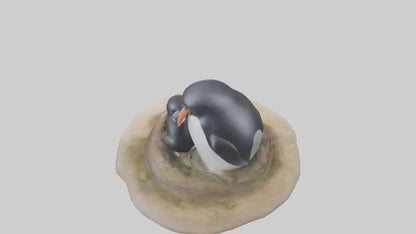 Fairy Penguin nesting model VR / AR / low-poly