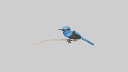 Fairy Wren perched model VR / AR / low-poly