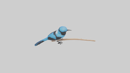 Fairy Wren perched model VR / AR / low-poly