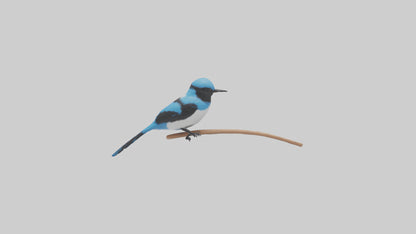 Fairy Wren perched model VR / AR / low-poly