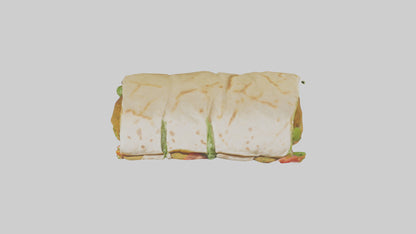 Falafel wrap model 3D model