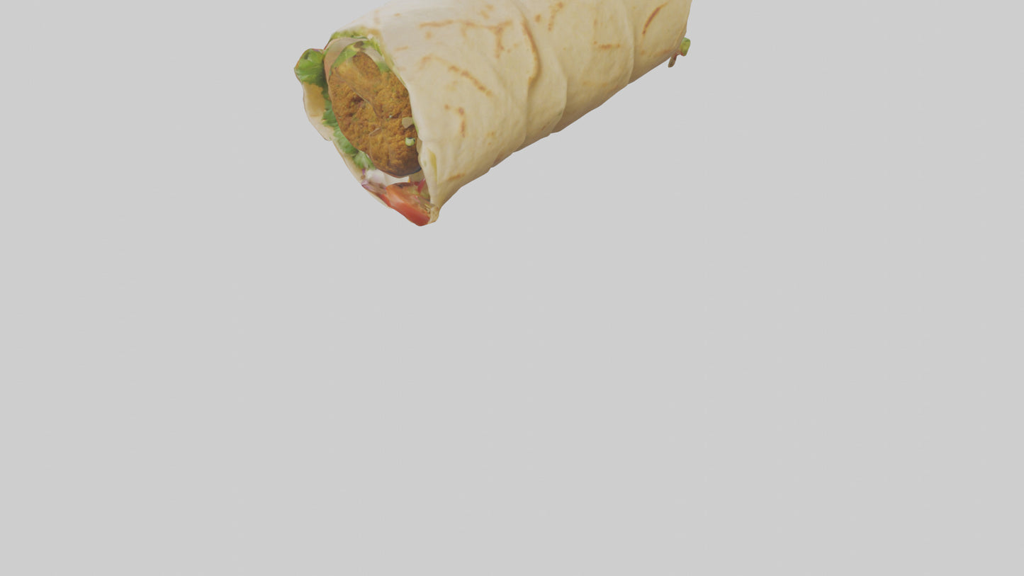 Falafel wrap model 3D model