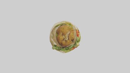 Falafel wrap model 3D model