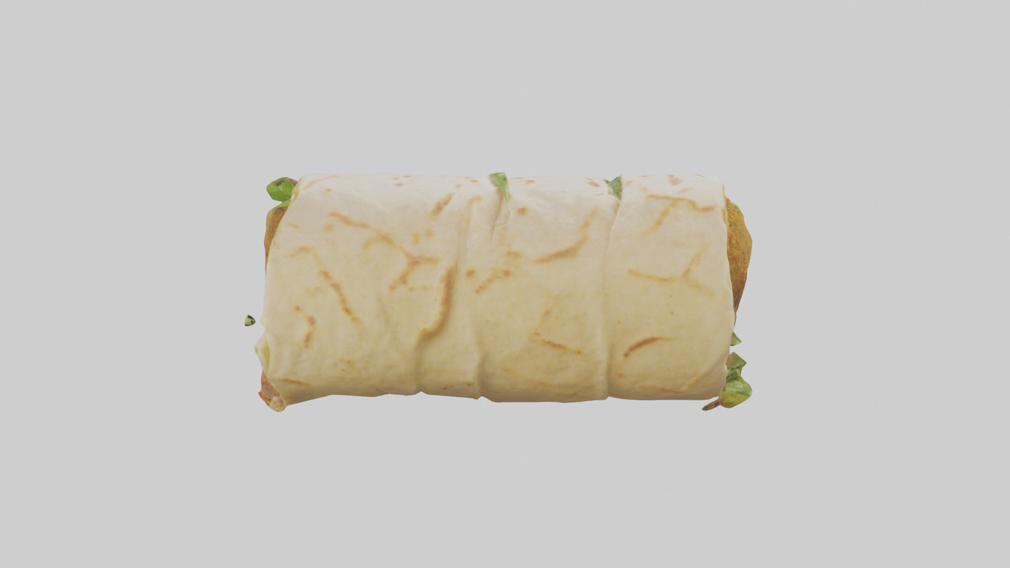 Falafel wrap model 3D model