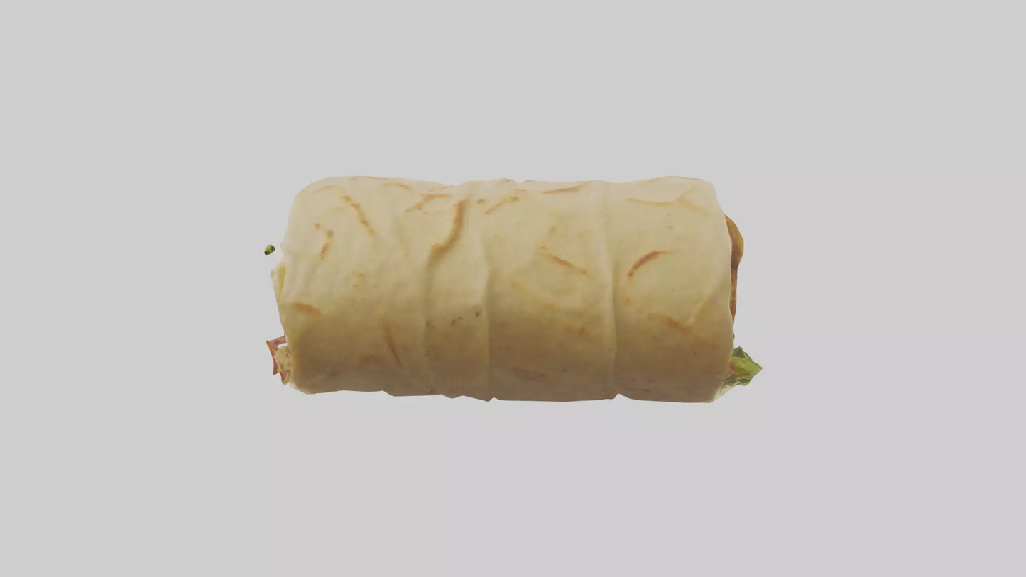 Falafel wrap model 3D model