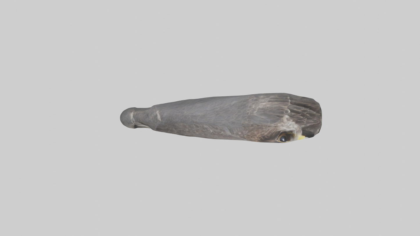 Falcon Beak 3D model