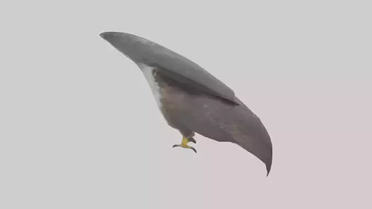 Falcon Beak 3D model
