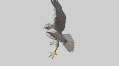 Falcon diving model 3D model