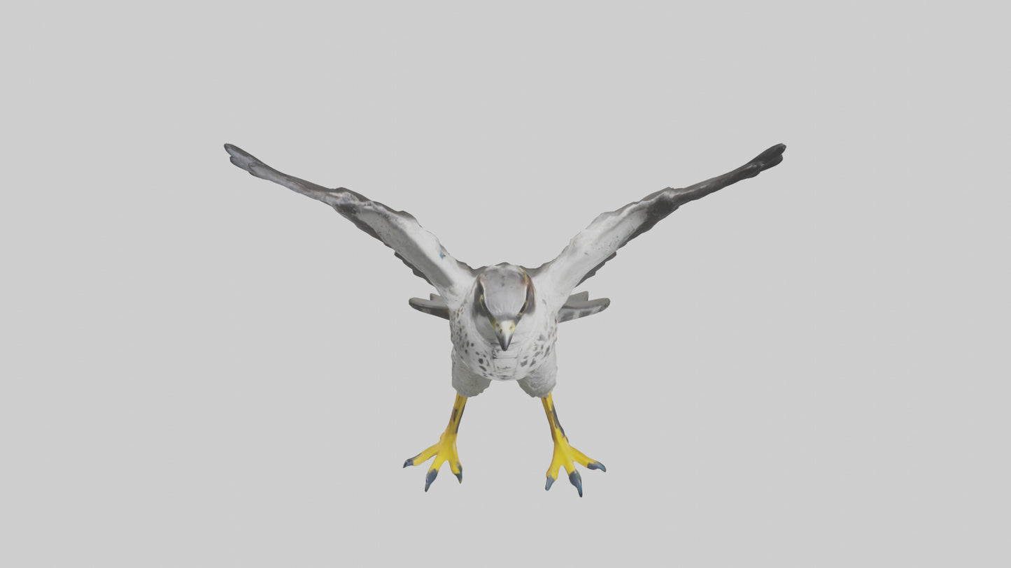 Falcon diving model 3D model