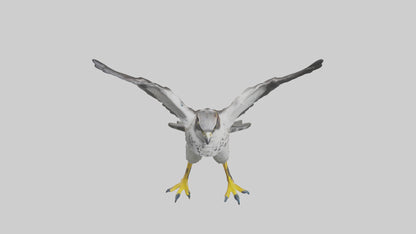 Falcon diving model 3D model