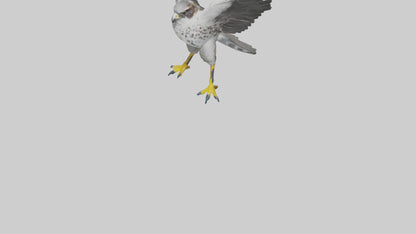 Falcon diving model 3D model