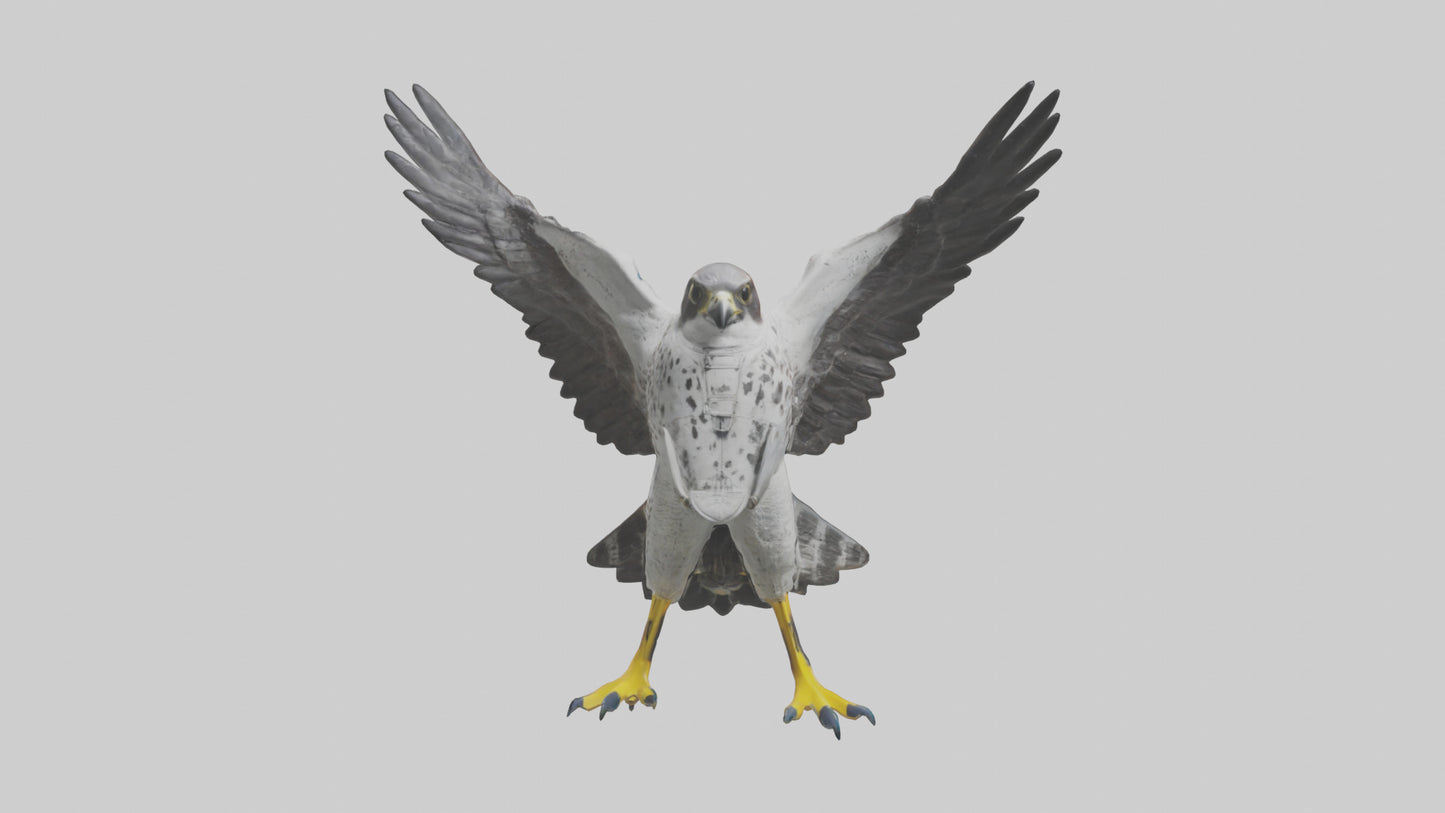 Falcon diving model 3D model