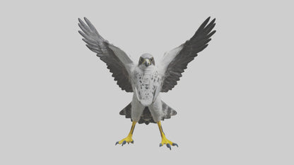 Falcon diving model 3D model