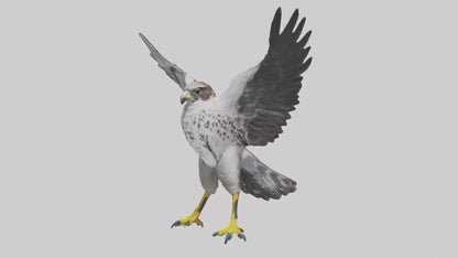 Falcon diving model 3D model