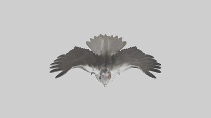 Falcon diving model 3D model