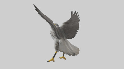 Falcon diving model 3D model