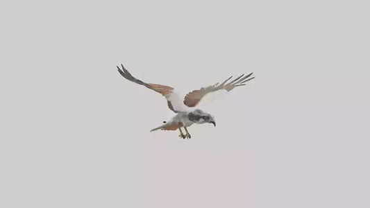 Falcon flying model 3D model