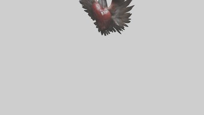 Falcon Heart 3D model