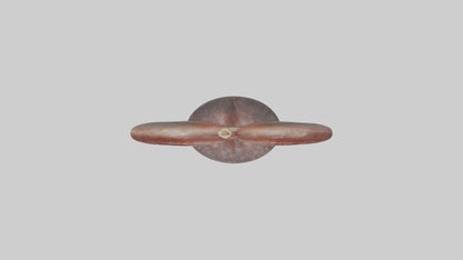 Falcon Kidneys 3D model