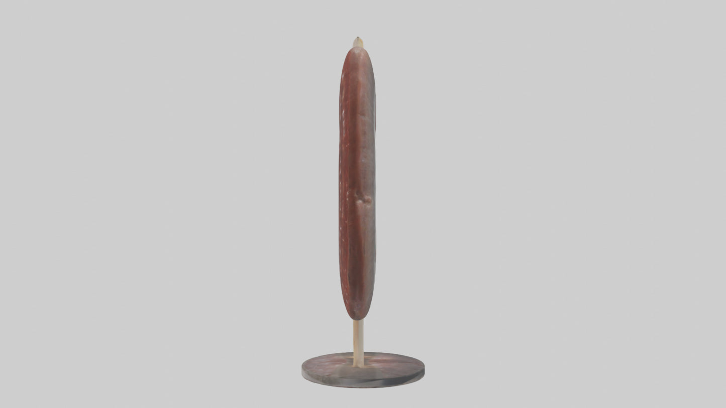 Falcon Kidneys 3D model