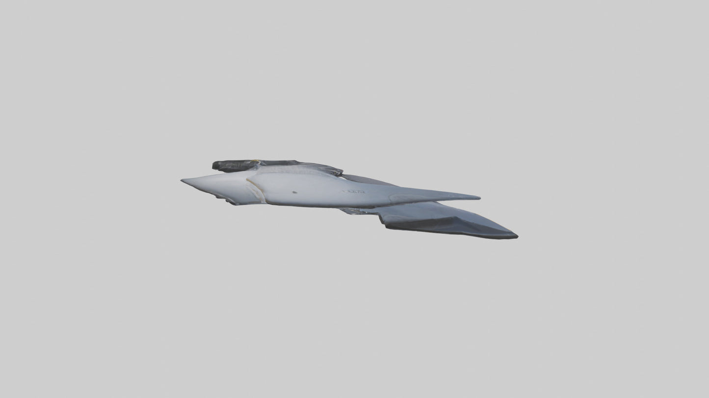 Falcon Rib 3D model