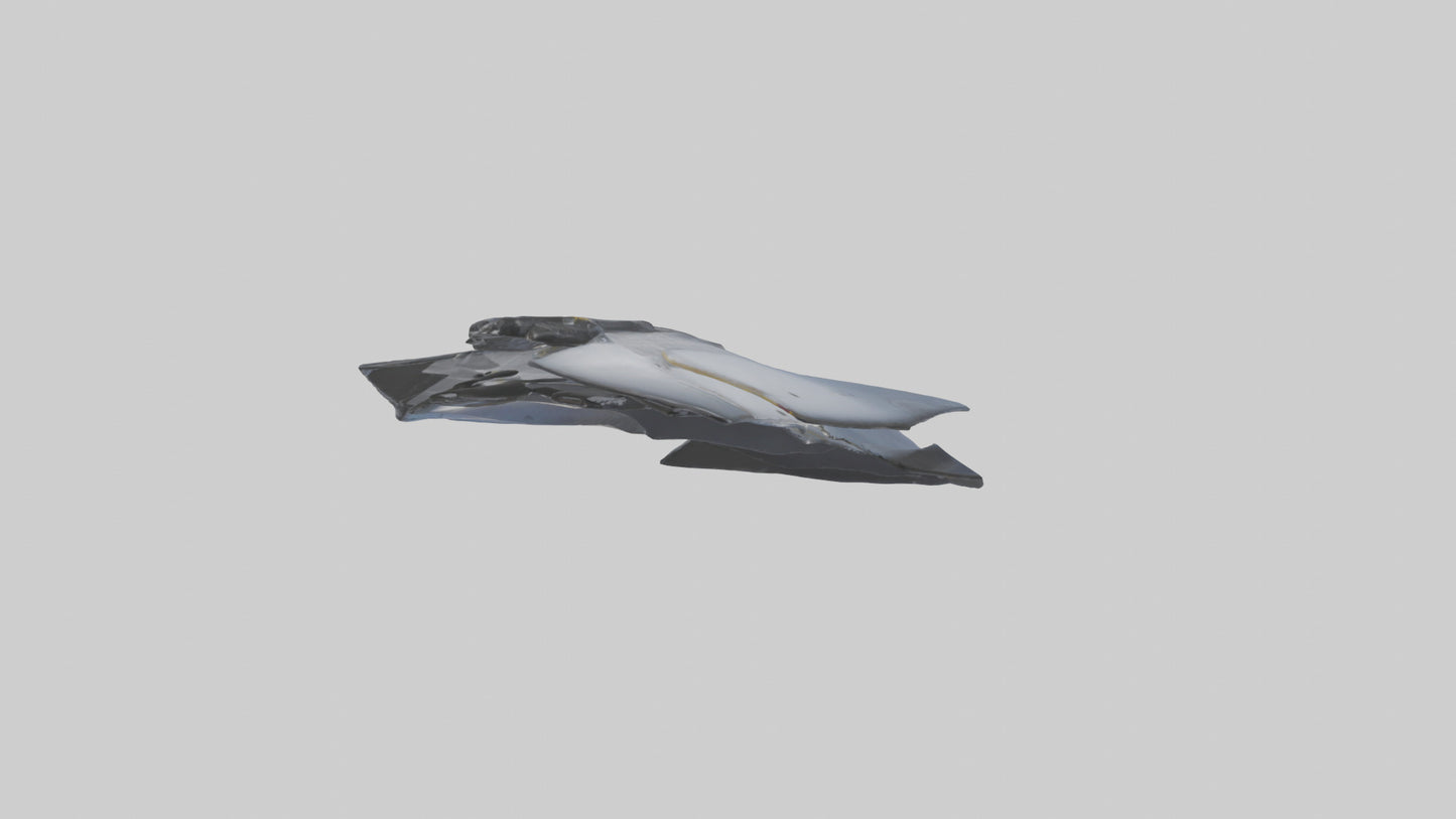 Falcon Rib 3D model
