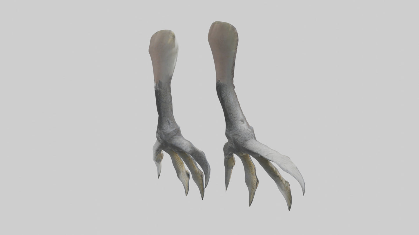 3D model Falcon Talons VR / AR / low-poly