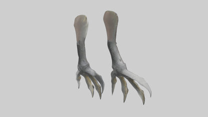 3D model Falcon Talons VR / AR / low-poly