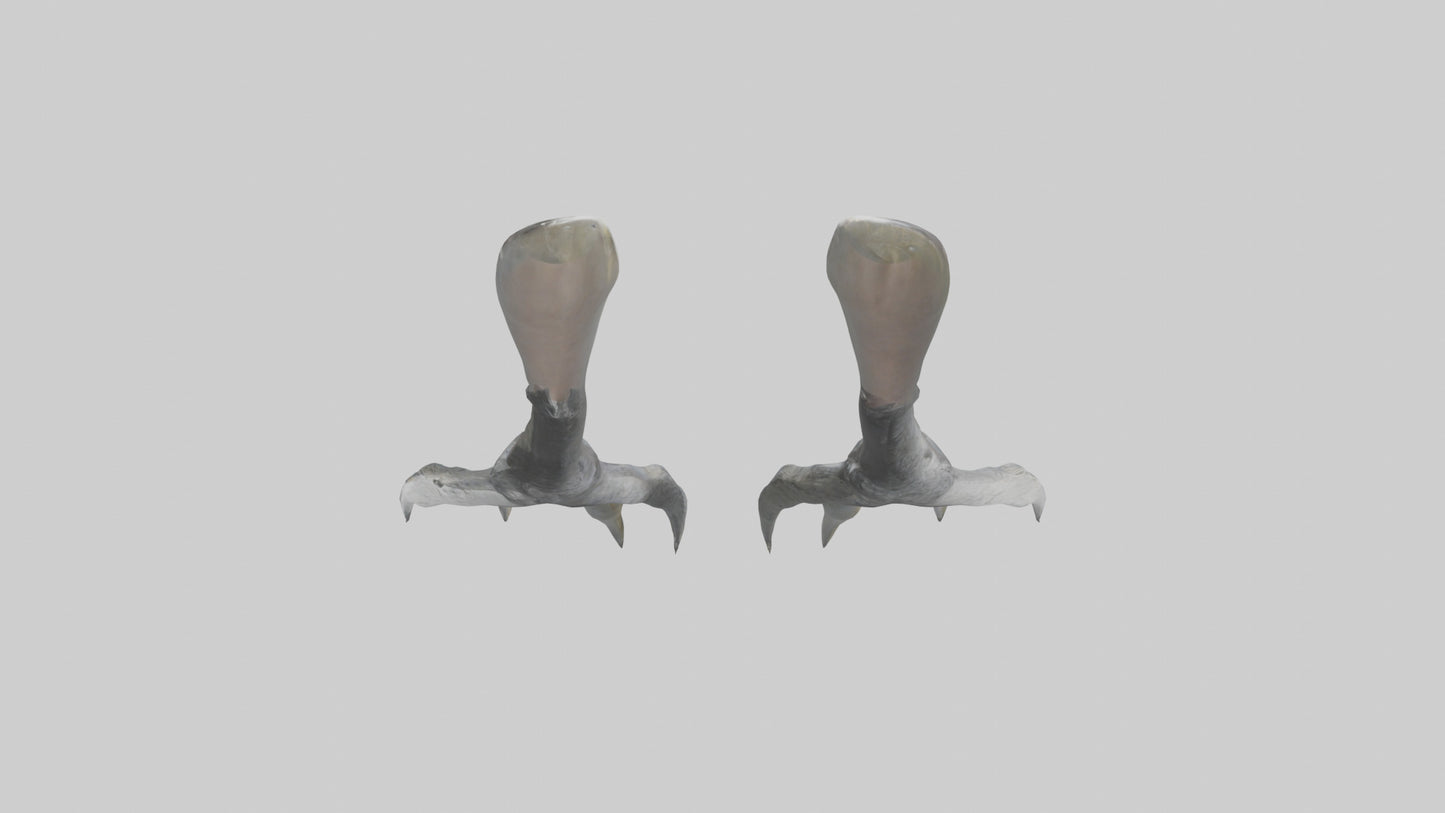 3D model Falcon Talons VR / AR / low-poly