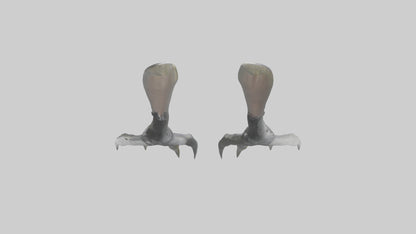 3D model Falcon Talons VR / AR / low-poly