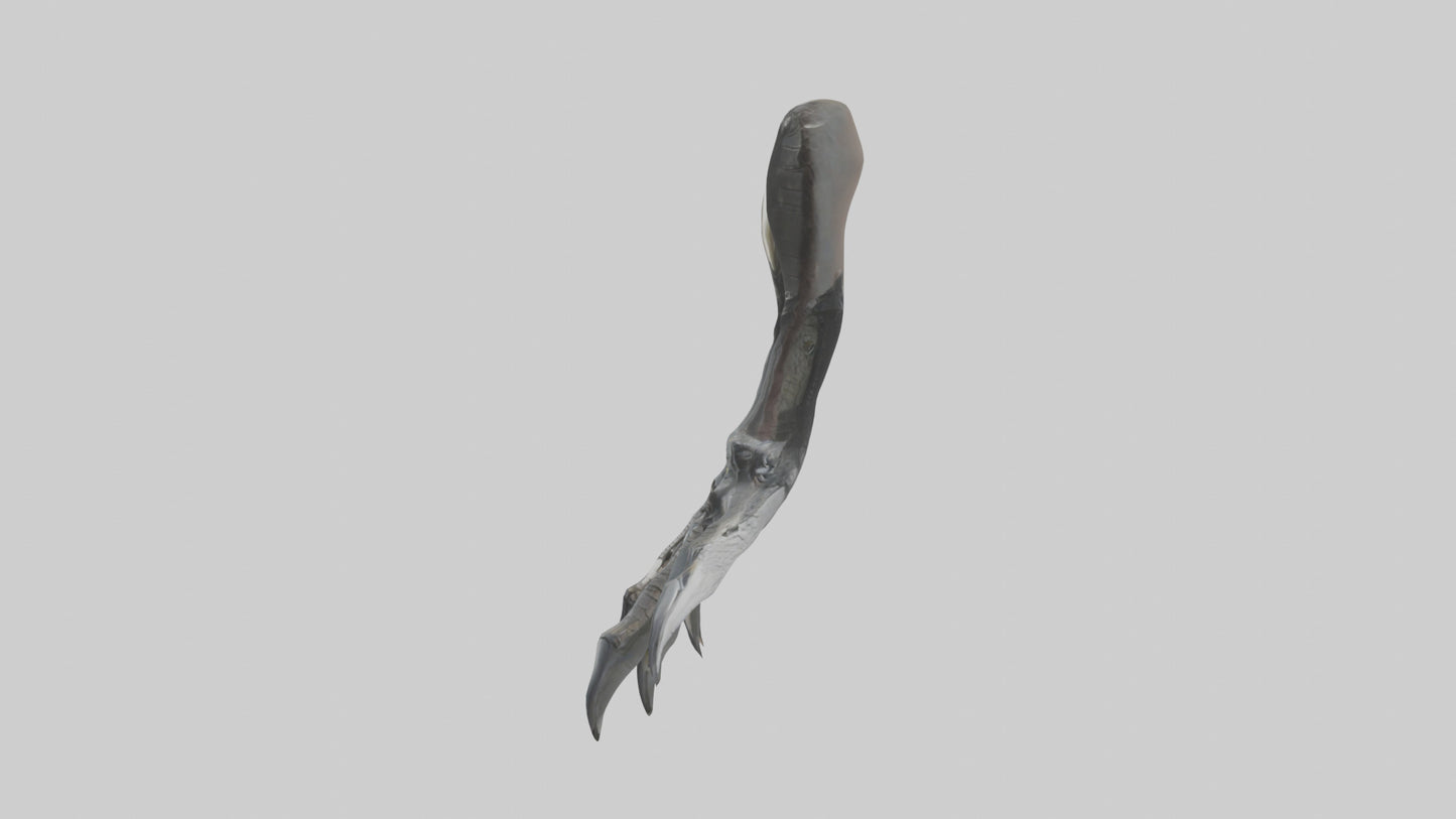 3D model Falcon Talons VR / AR / low-poly