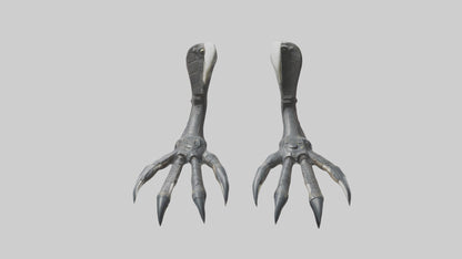3D model Falcon Talons VR / AR / low-poly